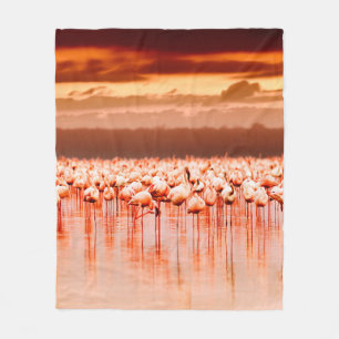 African flamingos in the lake over beautiful sunse fleece blanket