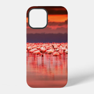 African flamingos in the lake over beautiful sunse iPhone 12 case