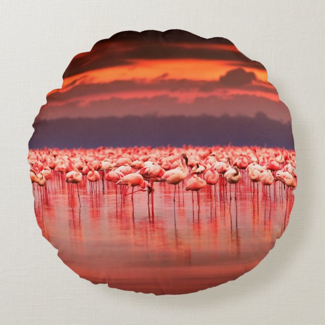 African flamingos in the lake over beautiful sunse round cushion (Front)