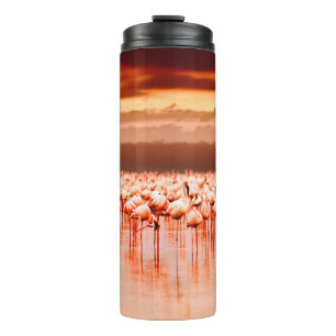 African flamingos in the lake over beautiful sunse thermal tumbler