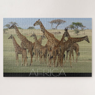 african giraffes jigsaw puzzle