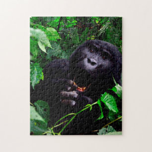 African Gorilla Jigsaw Puzzle