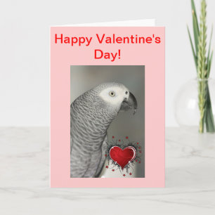 African Gray Parrot Happy Valentine's Day Card