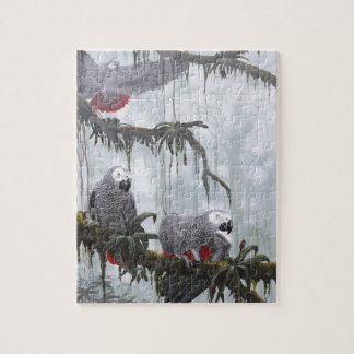 African Gray Parrots flying free Jigsaw Puzzle