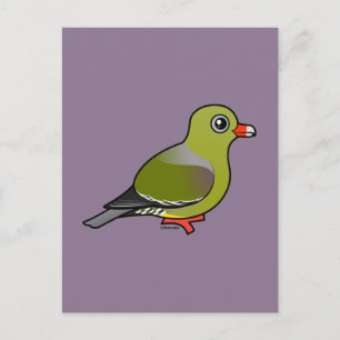 African Green Pigeon Postcard
