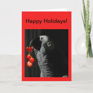 African Grey Christmas Holiday Greeting Card