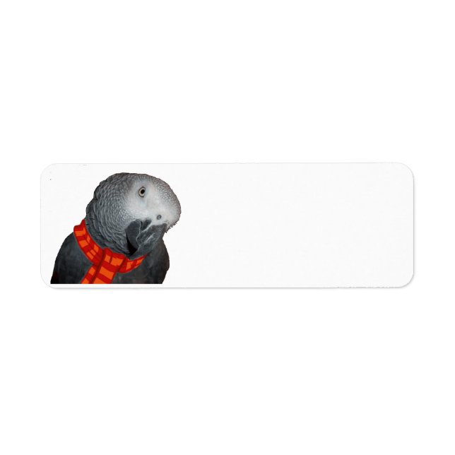 African Grey Christmas Return Address Labels (Front)