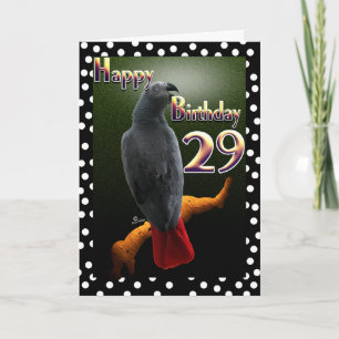 African Grey Congo parrot polka dots 29th B-Day Card