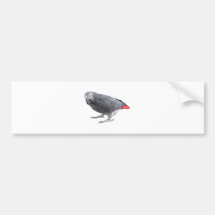 "African Grey" design gifts and products Bumper Sticker