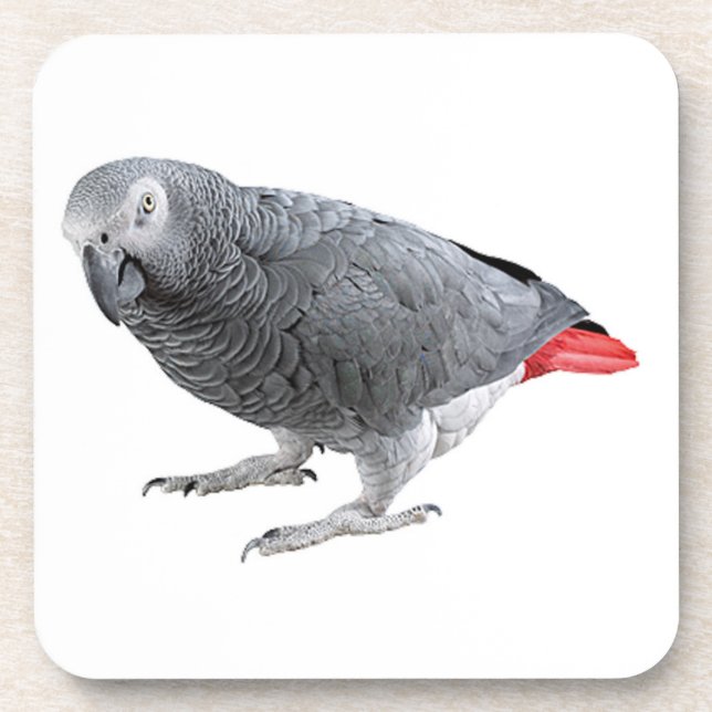 "African grey" design square coasters (Front)