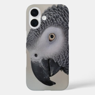 African Grey Face Closeup Phone Case