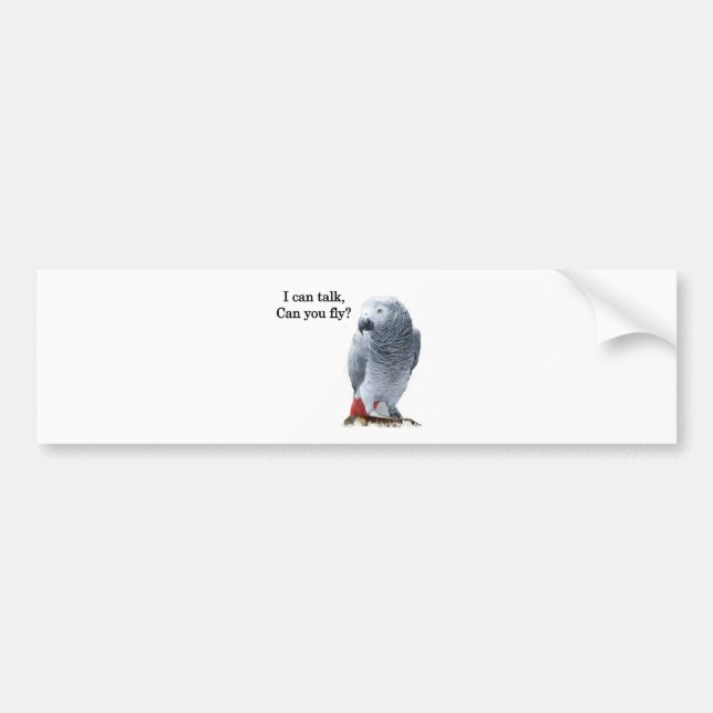 African Grey I can talk, can you fly? Bumper Sticker (Front)
