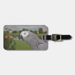African Grey Lakeside Luggage Tag
