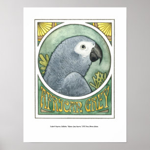 African Grey Nouveau Poster