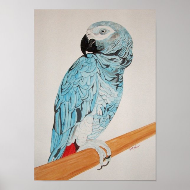 African Grey Painting Poster (Front)