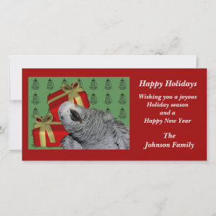 African Grey Parrot Animal Christmas Holiday Card