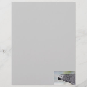 African Grey Parrot Business Letterhead