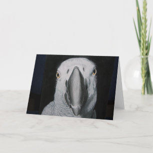 African Grey Parrot Card