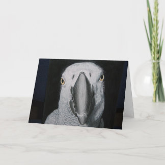 African Grey Parrot Card