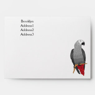 African grey parrot cartoon illustration  envelope