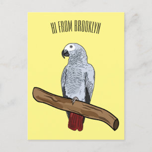 African grey parrot cartoon illustration postcard