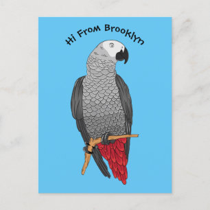 African grey parrot cartoon illustration postcard