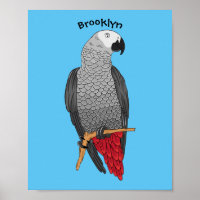 African grey parrot cartoon illustration