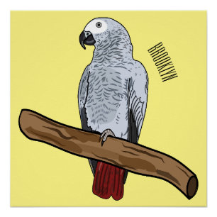 African grey parrot cartoon illustration  poster