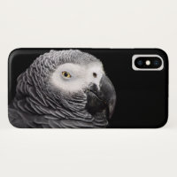 African Grey Parrot
