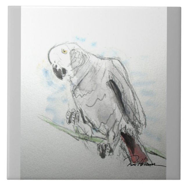African Grey Parrot Ceramic Tile (Front)