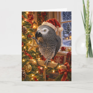 African Grey Parrot Christmas Card | Holiday Star