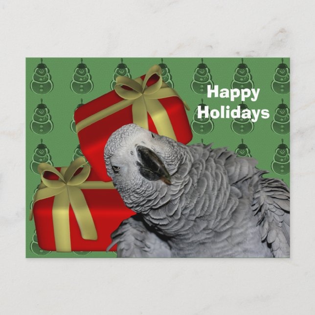 African Grey Parrot Christmas Holiday Postcard (Front)