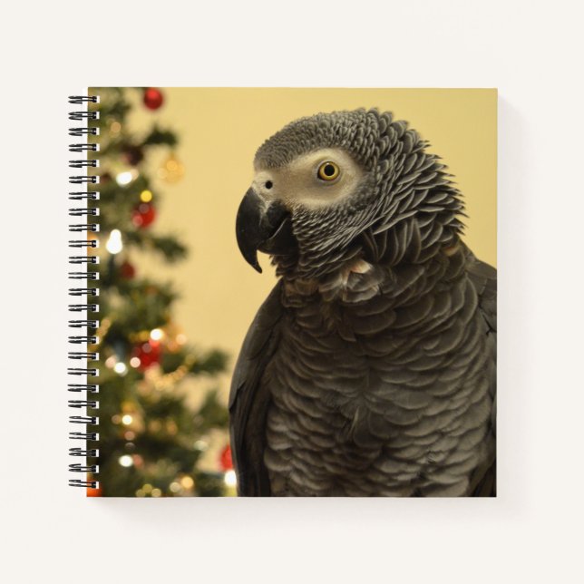African Grey Parrot Christmas Notebook (Front)