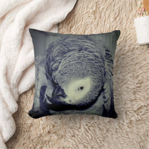African Grey Parrot Cute Bird 2   Cushion