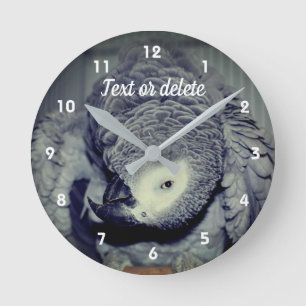 African Grey Parrot Cute Bird 2 Personalised Round Clock