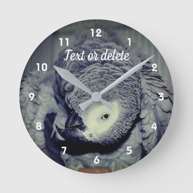 African Grey Parrot Cute Bird 2 Personalized Round Clock (Front)