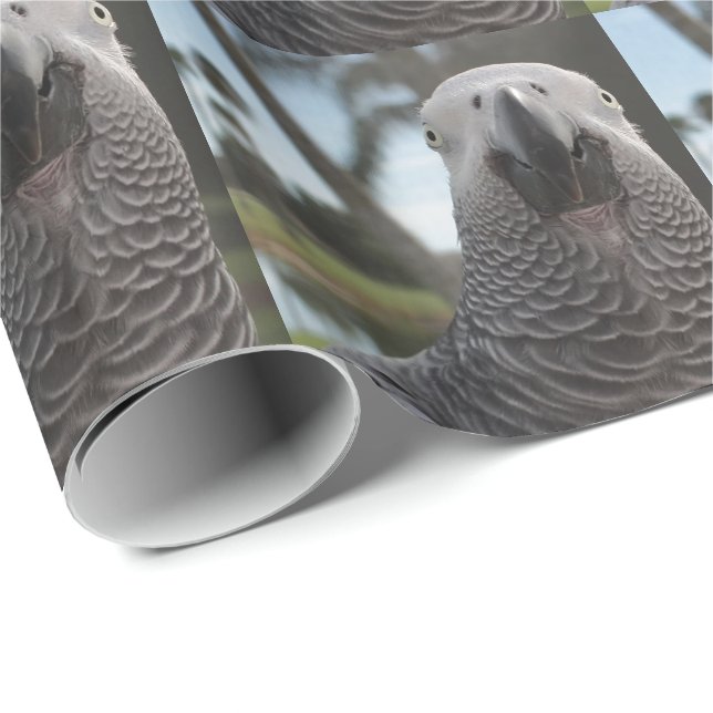 African Grey Parrot Face Close-Up Wrapping Paper (Roll Corner)