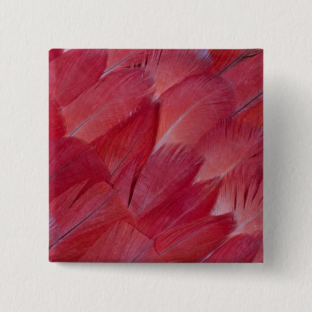 African Grey Parrot Feather Design 15 Cm Square Badge (Front)