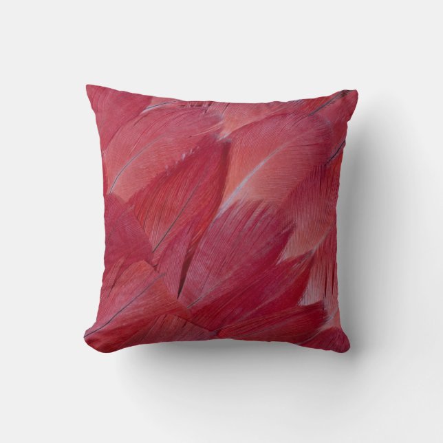 African Grey Parrot Feather Design Cushion (Front)
