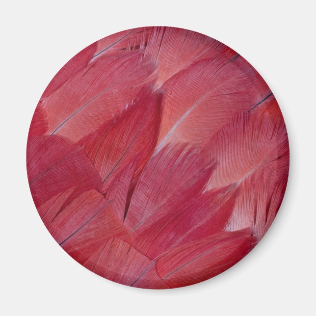 African Grey Parrot Feather Design Magnet (Front)