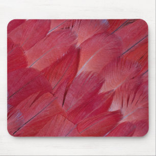 African Grey Parrot Feather Design Mouse Pad