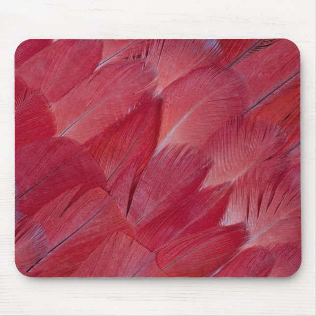 African Grey Parrot Feather Design Mouse Pad (Front)