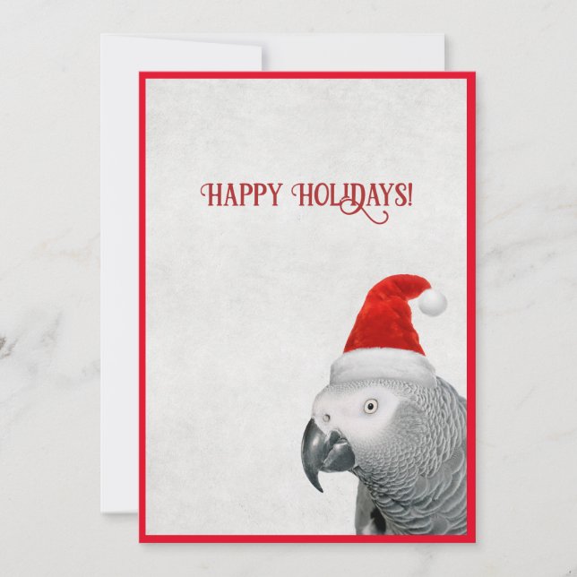 African Grey Parrot Flat Holiday Card (Front)