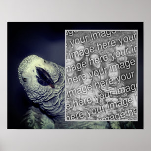 African Grey Parrot Frame Add Your Photo Poster