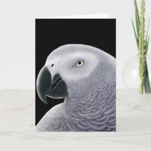 African Grey Parrot Greeting Card