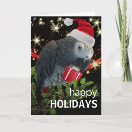 African Grey Parrot Holiday Season Card