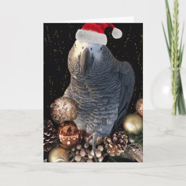 African Grey Parrot Holiday Season Card (Front)
