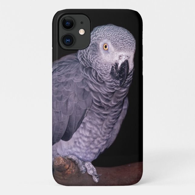African Grey Parrot iPhone 11 Case (Back)