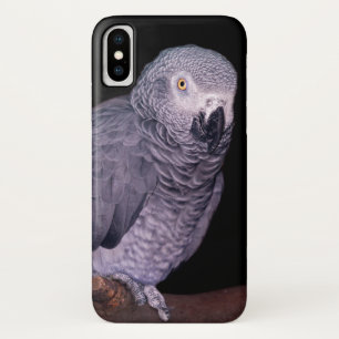 African Grey Parrot iPhone X Case