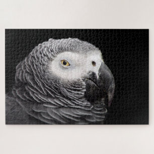 African Grey Parrot Jigsaw Puzzle